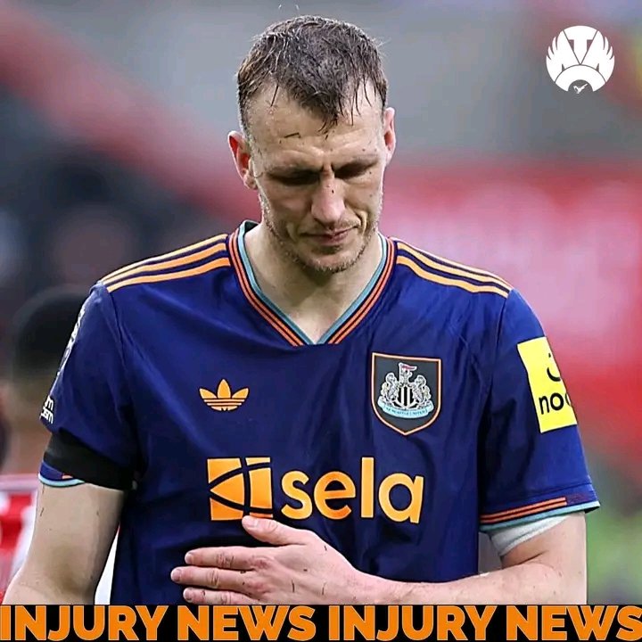 Sad End:Newcastle defender Dan Burn has suffered a punctured lung and broken rib, injury ending career season.