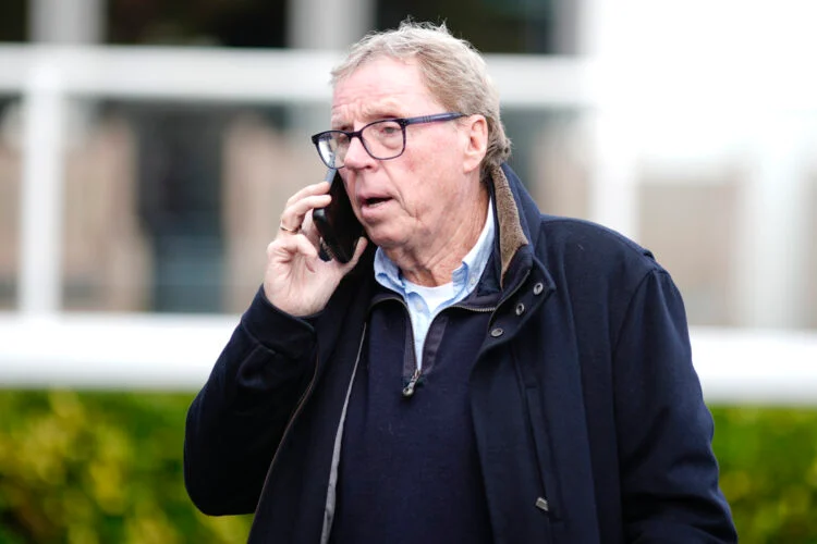 Breaking News: Harry Redknapp breaks silence on West Ham job as Nuno Espirito Santo sack twist emerges