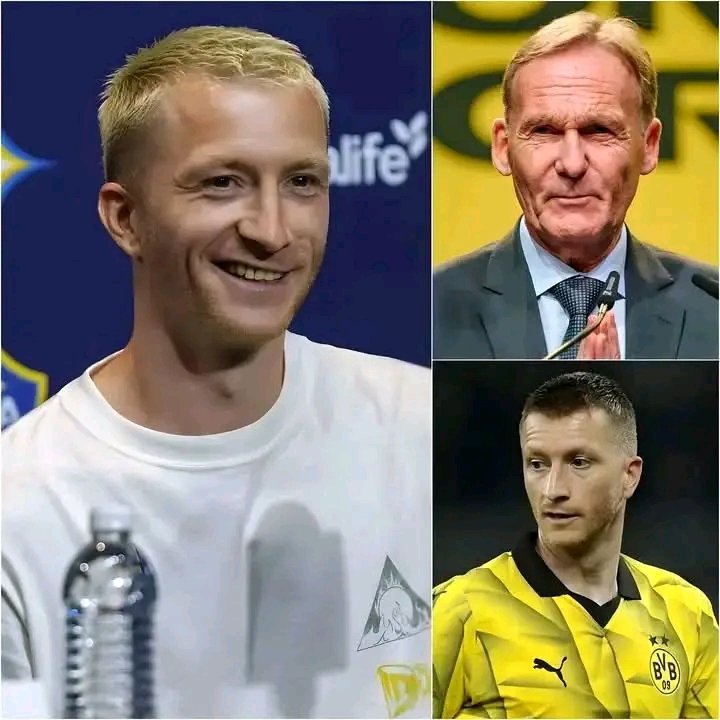 Harry Kane setzt Prioritäten: Familie steht über dem Fußball
