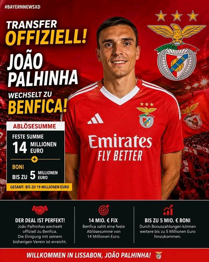João Palhinha vor Rückkehr zu Benfica –