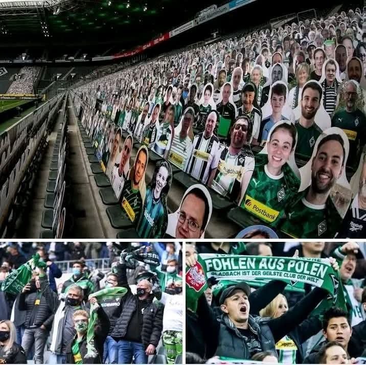 HISTORISCH! Borussia Mönchengladbachs Fans angeblich zu den besten Fans Europas gekürt